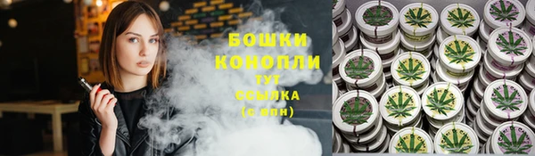 ГАЛЛЮЦИНОГЕННЫЕ ГРИБЫ Аркадак